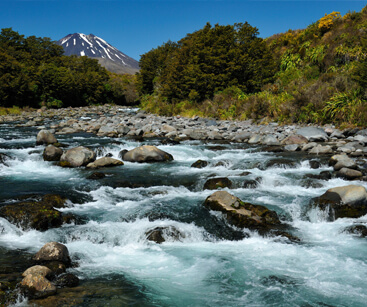 New Zealand