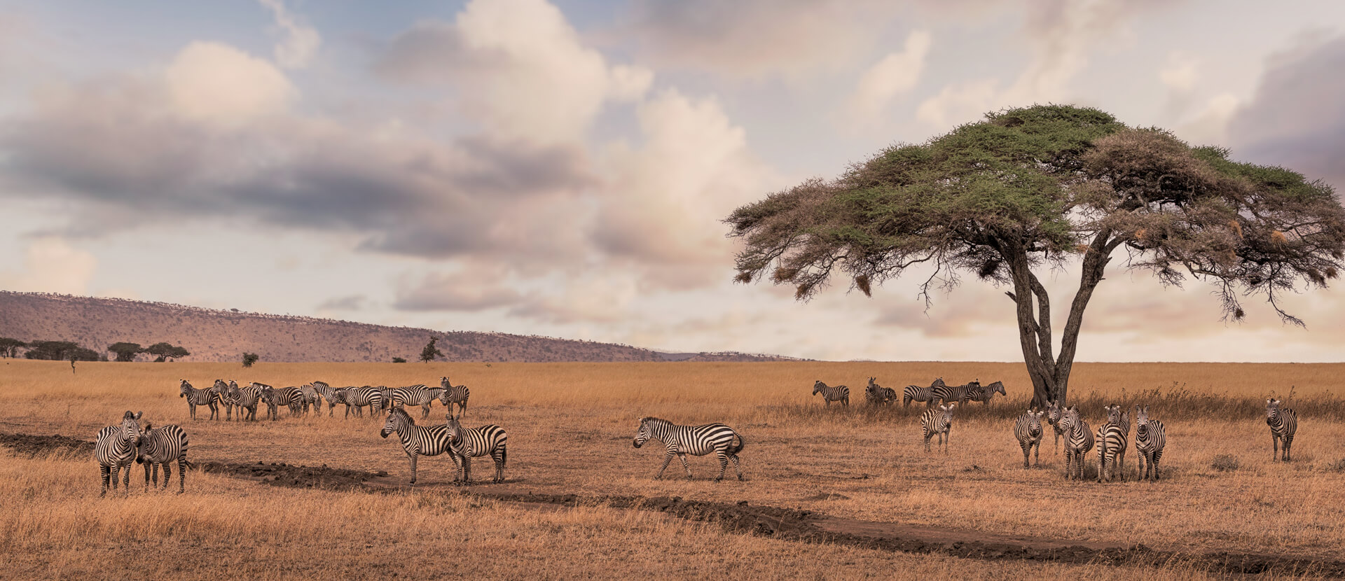 Kenya and Tanzania Kenya and Tanzania