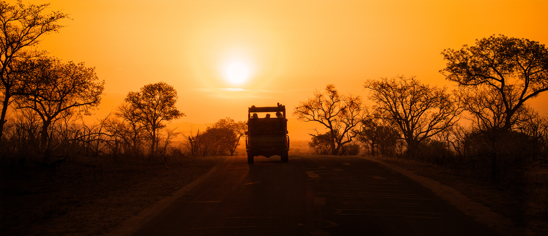 Kruger National Park & Malaria Free Safaris