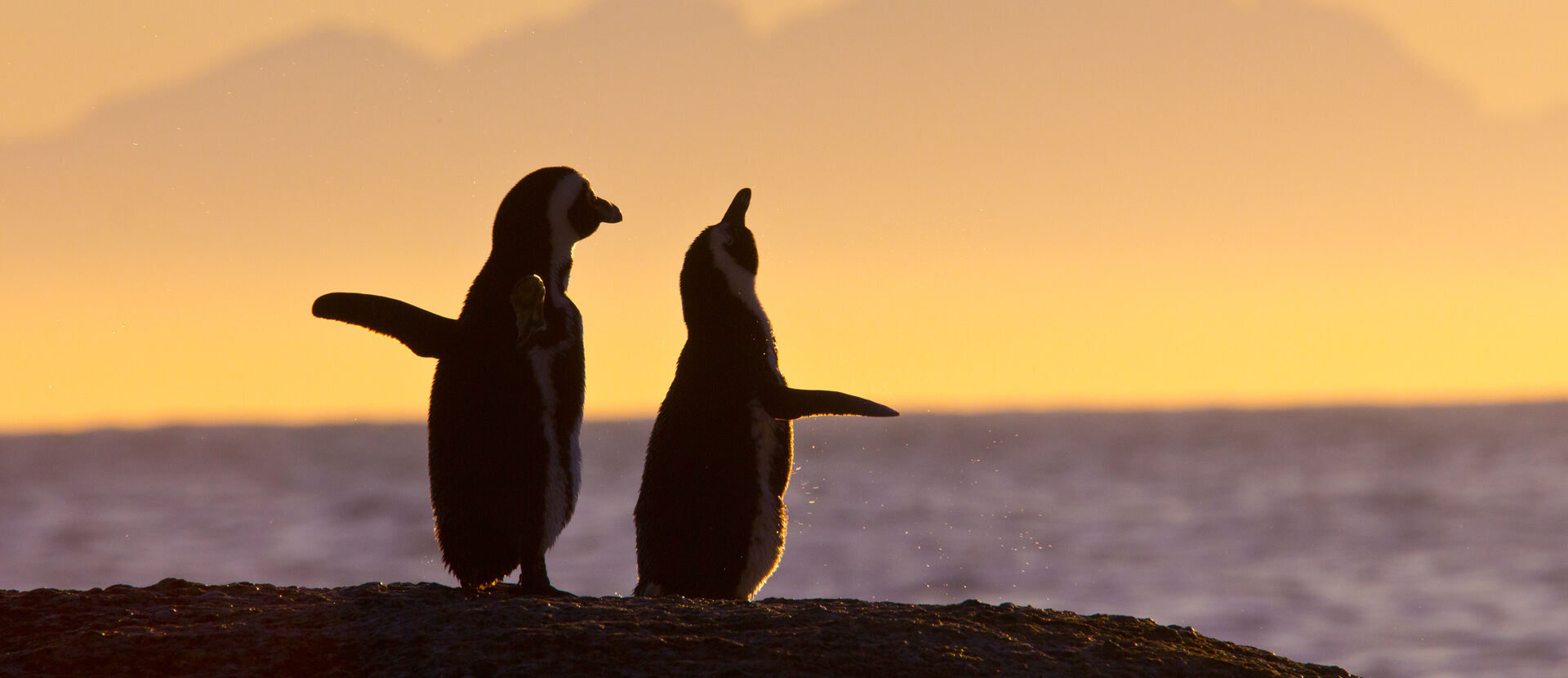 South Africa South Africa