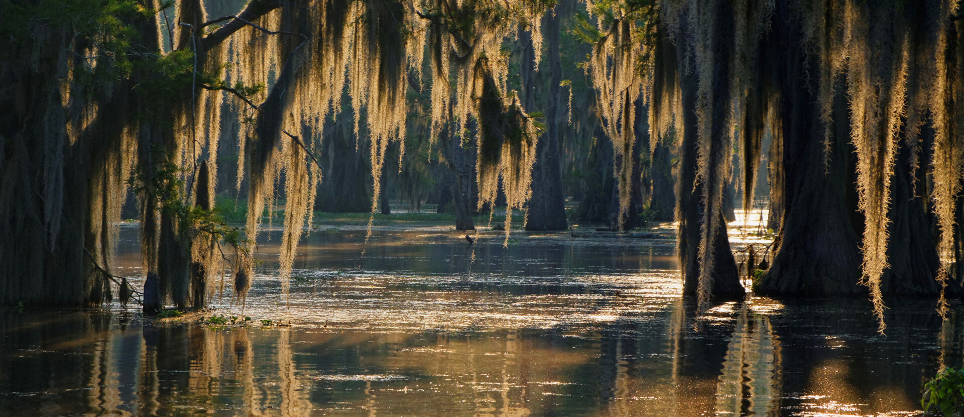 The Deep South The Deep South