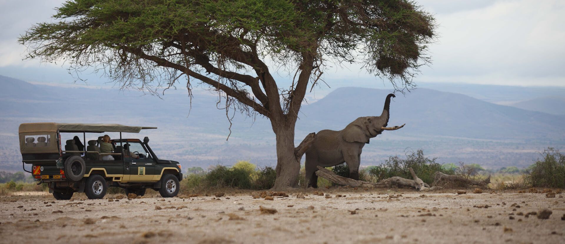 Tortilis Camp Amboseli by Elewana