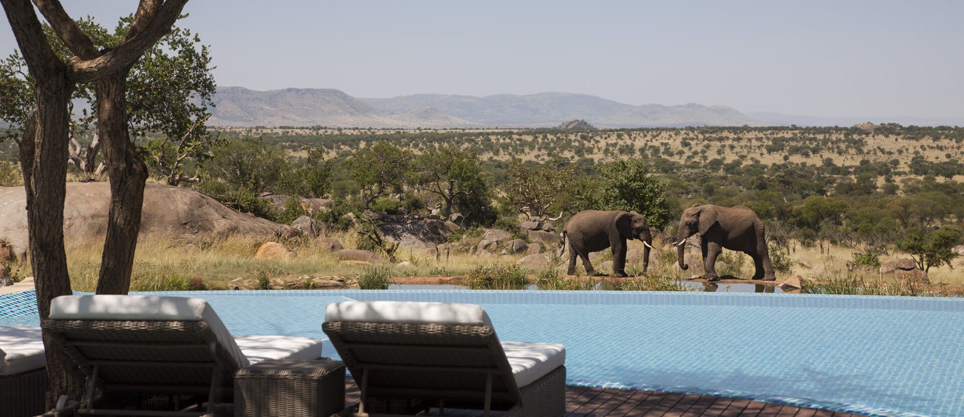 Four Seasons Safari Lodge Serengeti