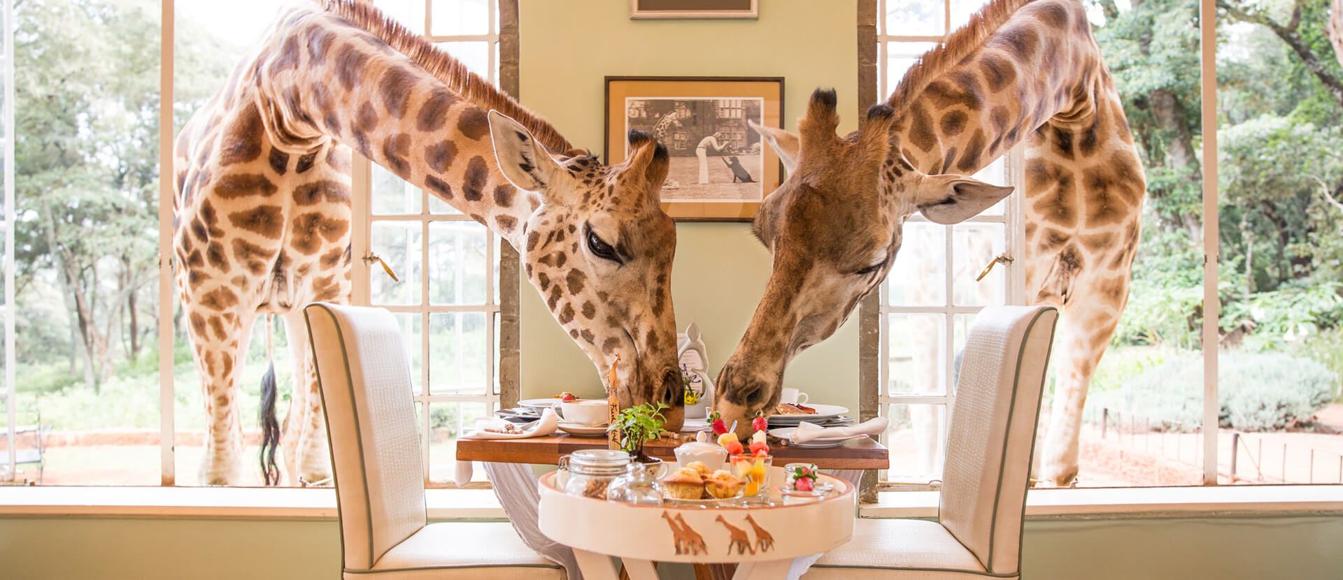 Giraffe Manor