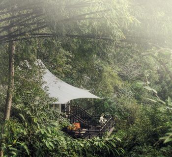 Four Seasons Tented Camp Golden Triangle  