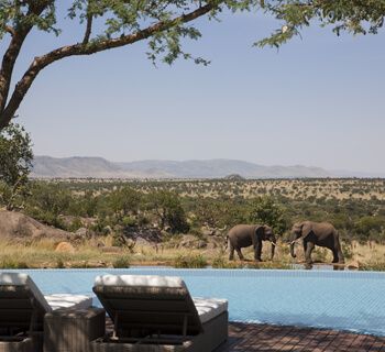 Four Seasons Safari Lodge Serengeti