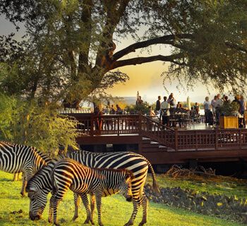 Royal Livingstone Victoria Falls Zambia Hotel by Anantara