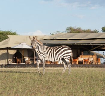 Singita Serengeti House