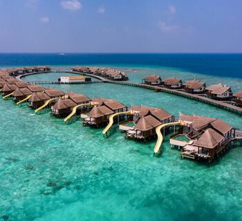 OZEN RESERVE BOLIFUSHI