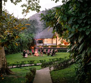 Sanctuary Gorilla Forest Camp Uganda