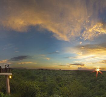 Victoria Falls Safari Lodge