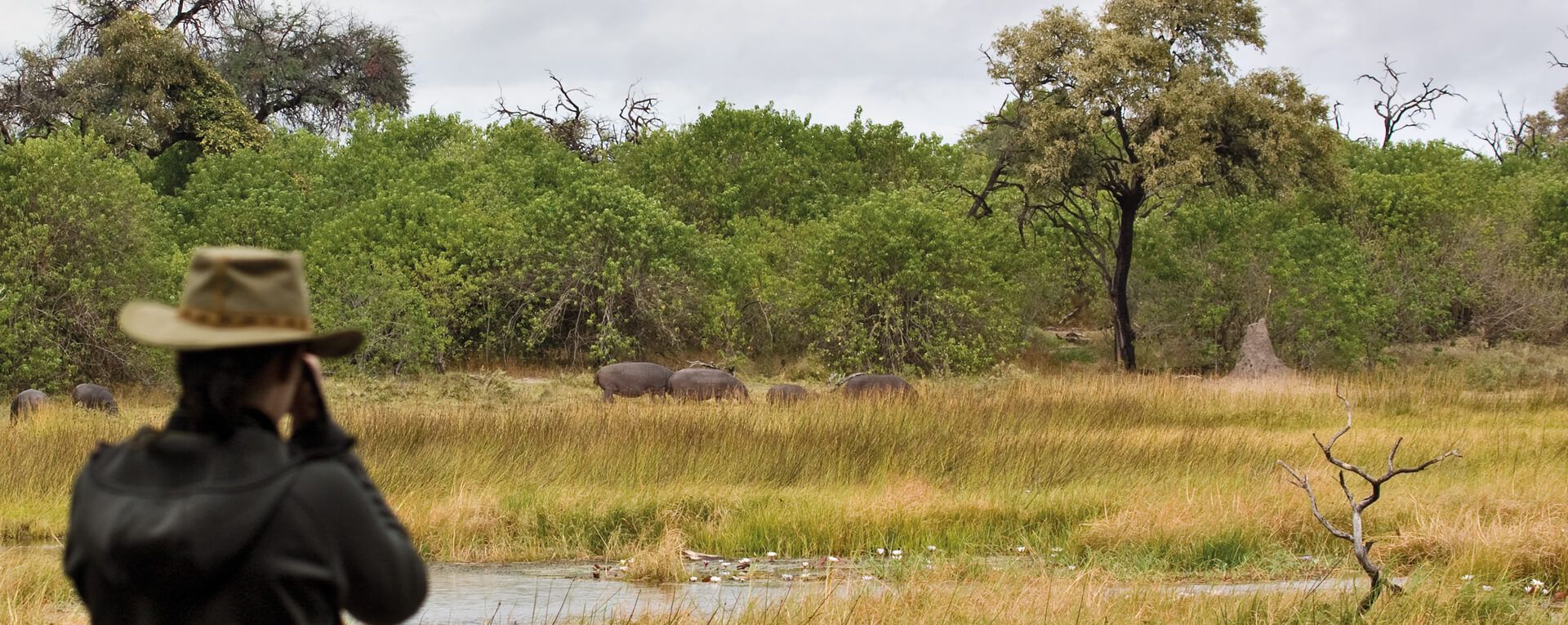 Khwai River Lodge, A Belmond Safari