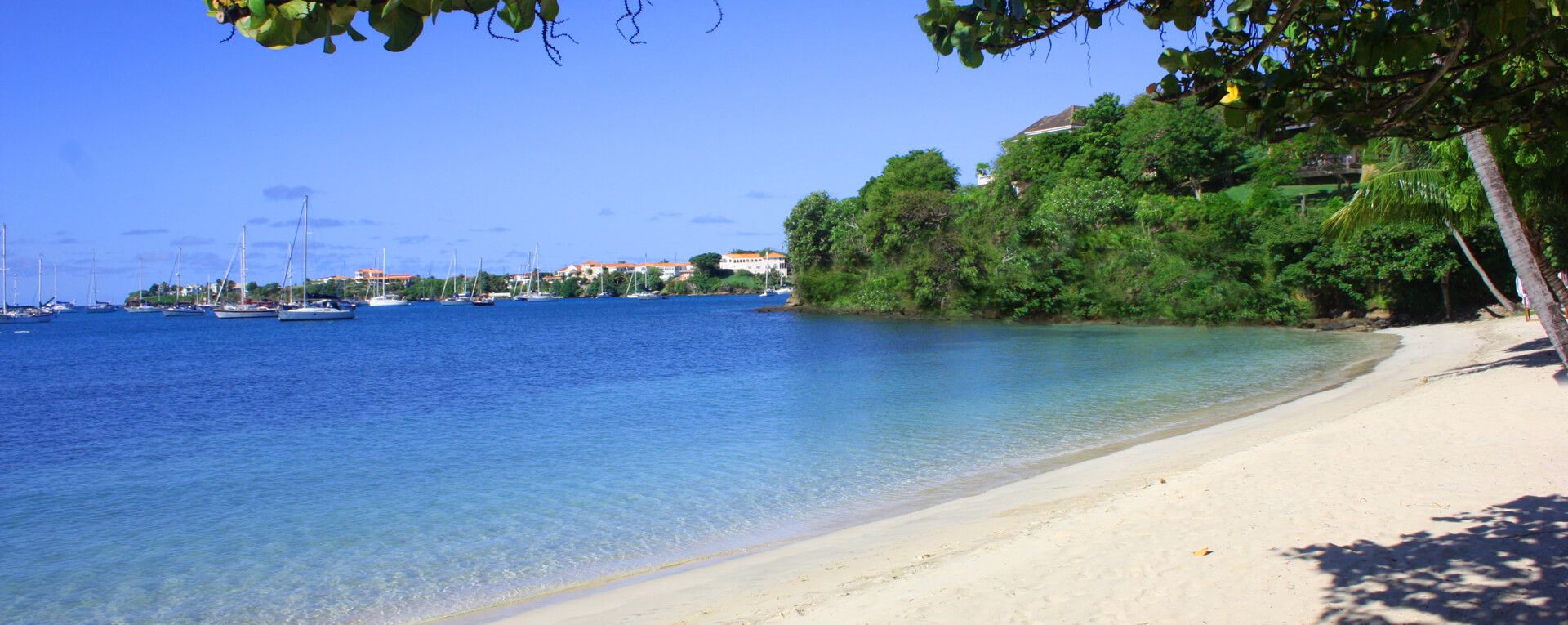 Calabash Grenada