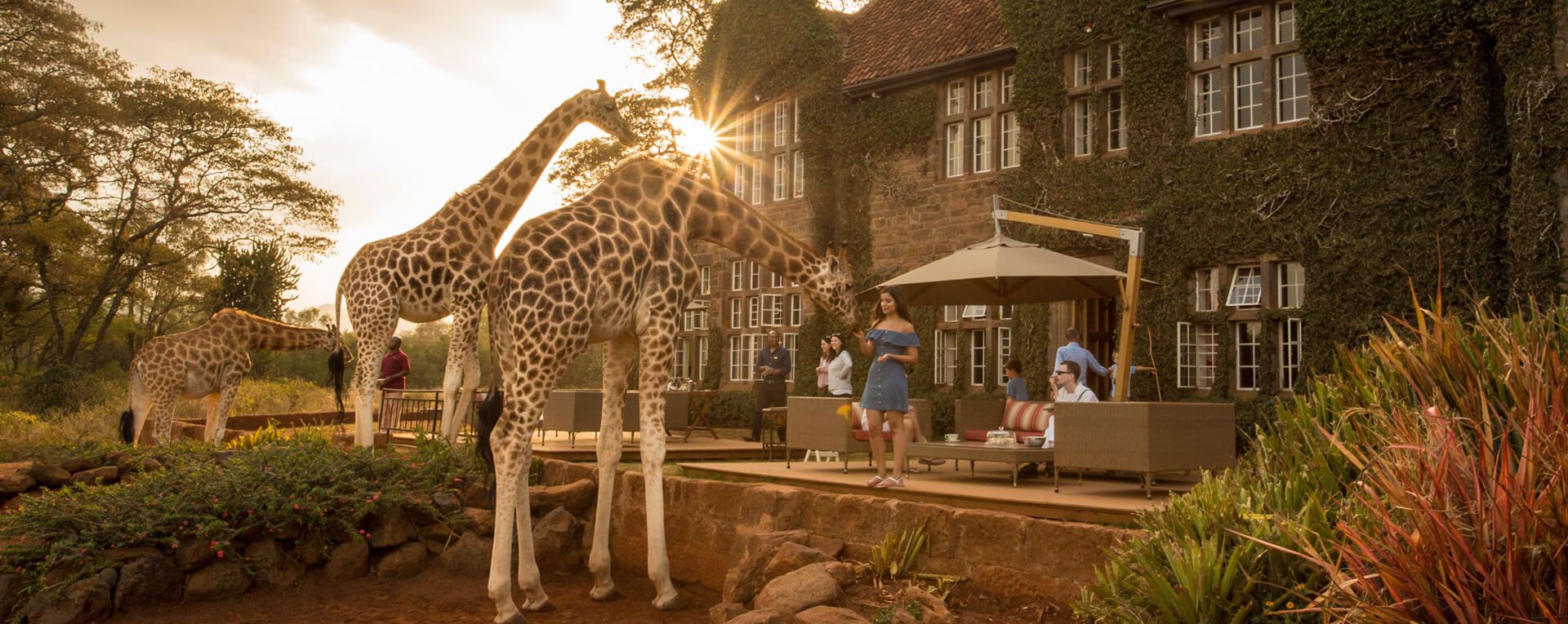 Giraffe Manor