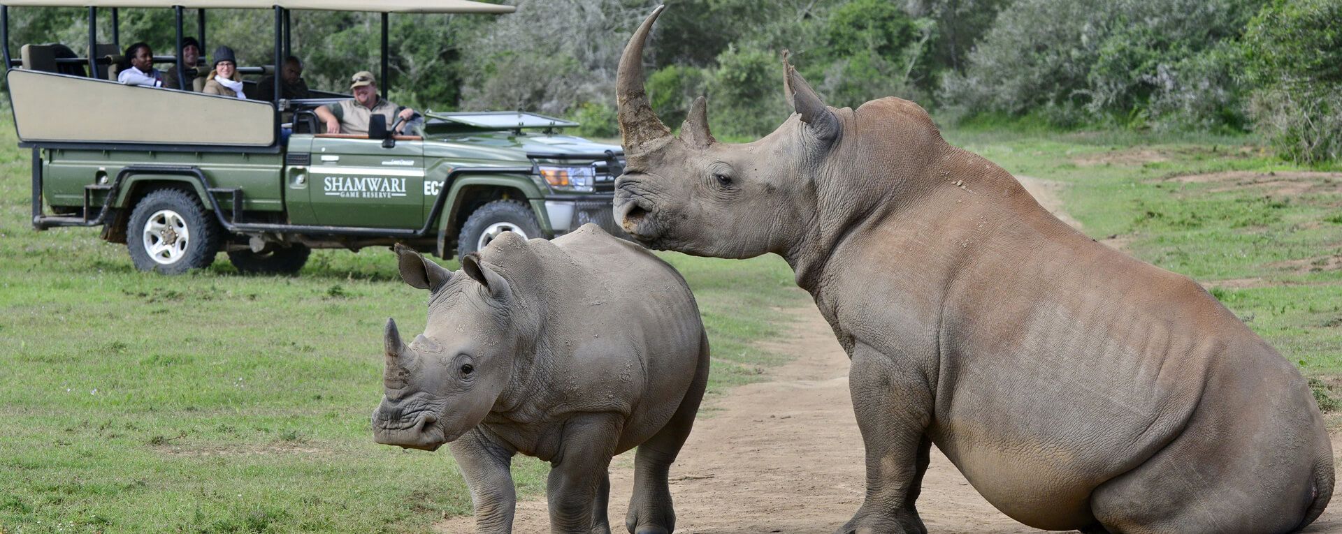 Shamwari Private Game Reserve