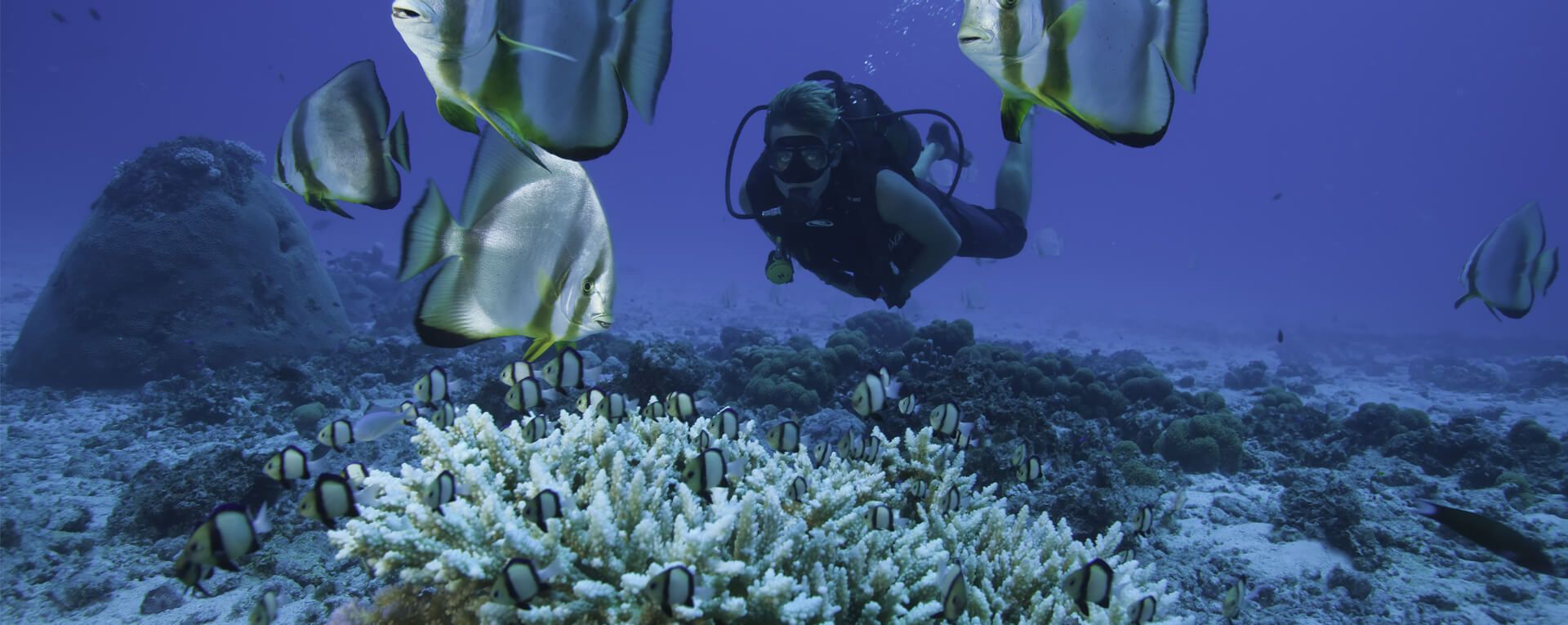 North Island, Seychelles 