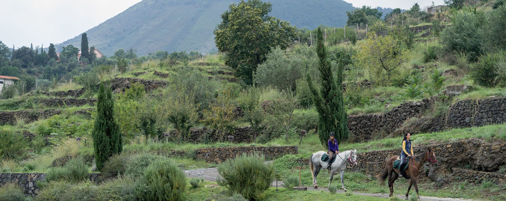 Monaci delle Terre Nere