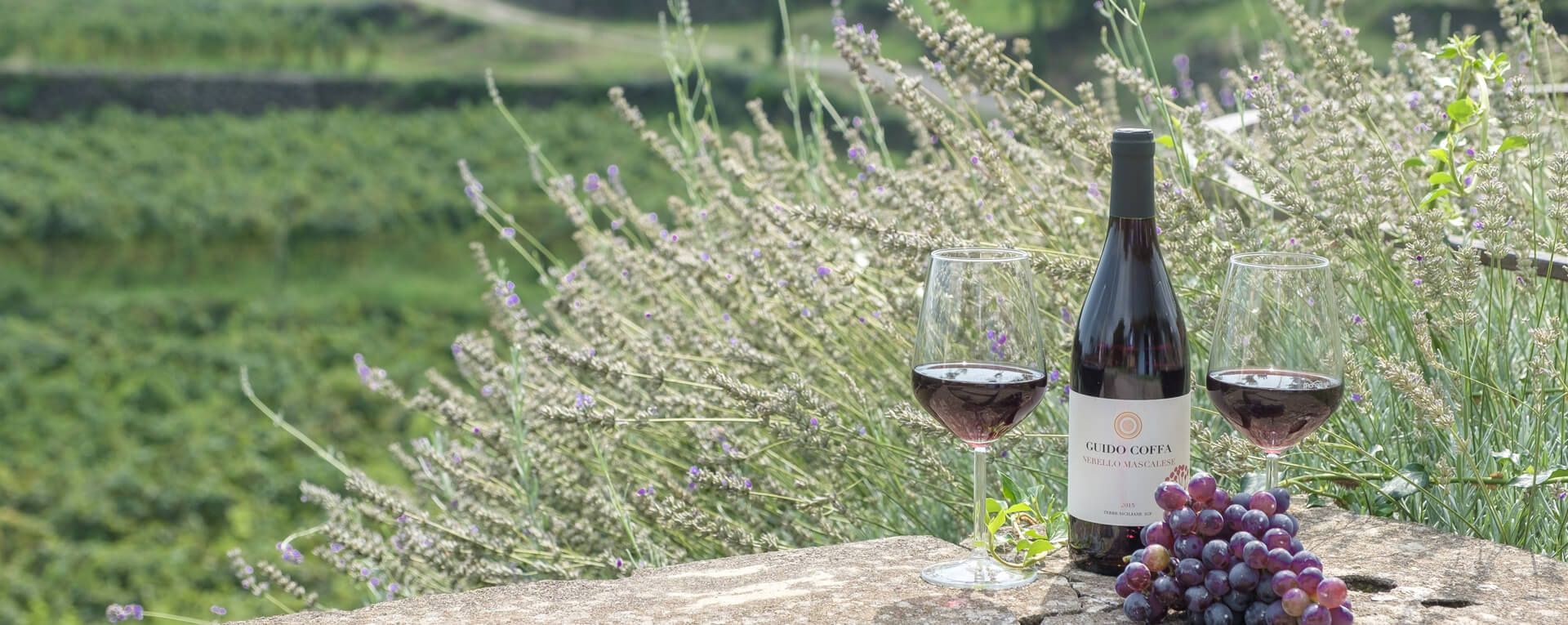 Monaci delle Terre Nere