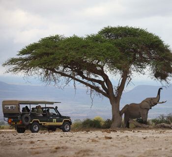 Tortilis Camp Amboseli by Elewana