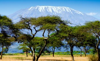 Kilimanjaro